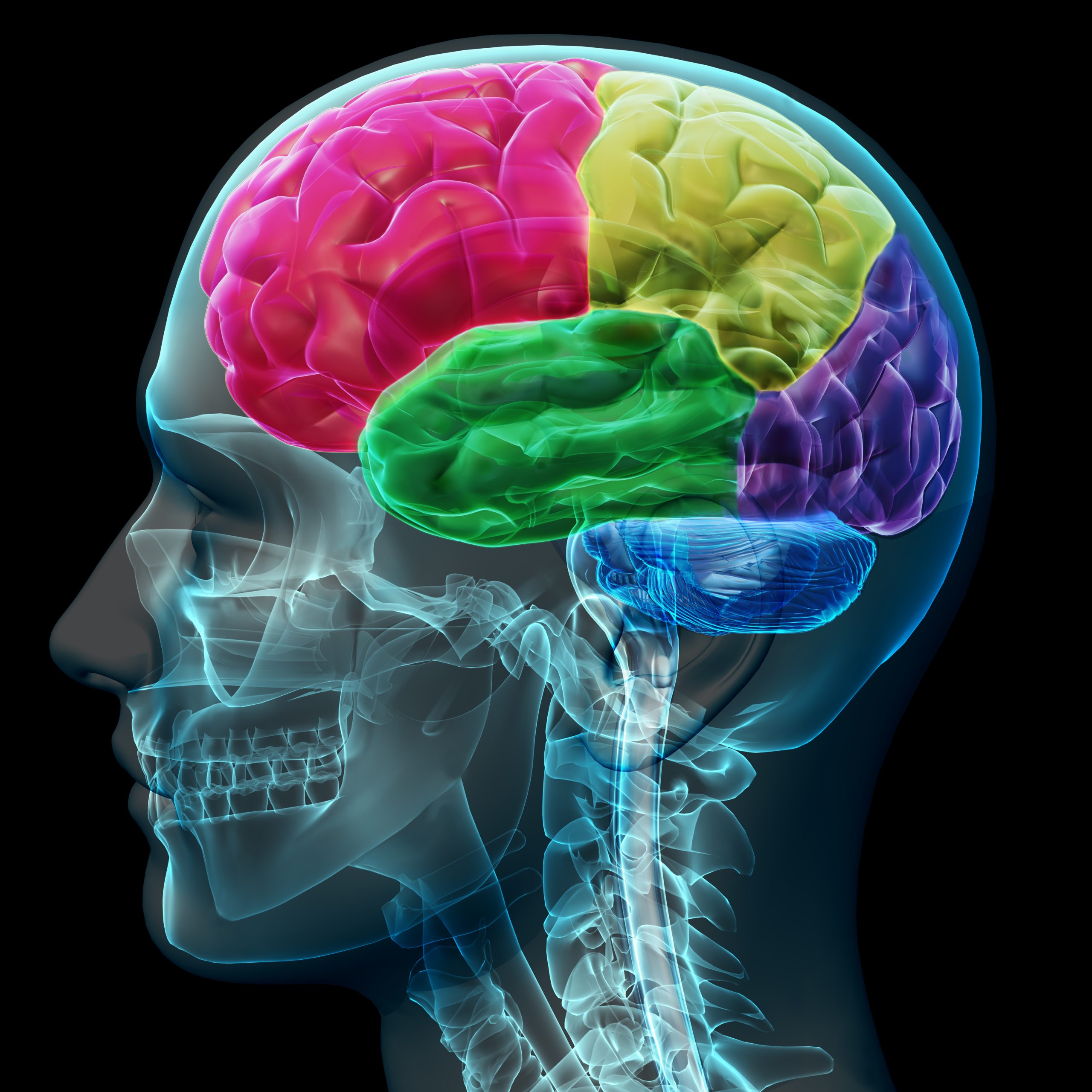 Proteja seu cérebro: Especialista da UnP revela os melhores hábitos para a saúde neurológica
